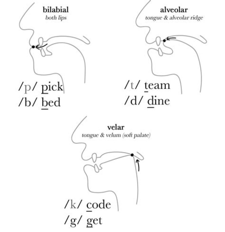How are plosives produced?