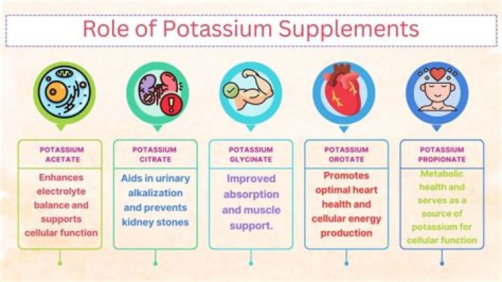 How are sodium and potassium levels controlled in the body