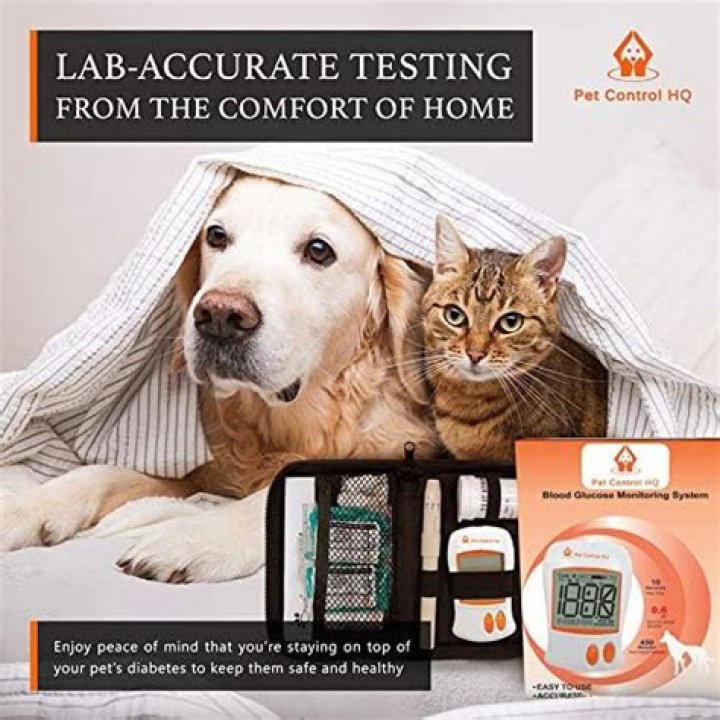 How can I test my dog for diabetes at home?