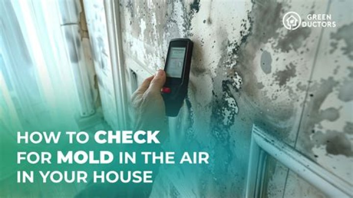 How can you detect mold