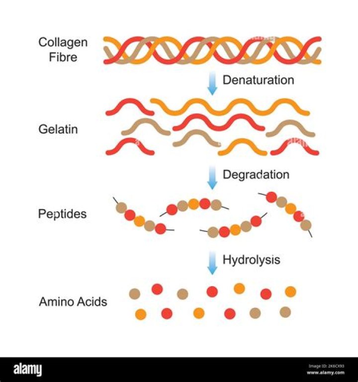 How collagen activate receptors?