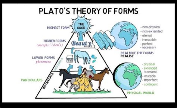 How did Plato contribute to society?