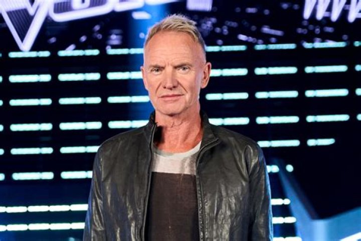 How did Sting get its name?