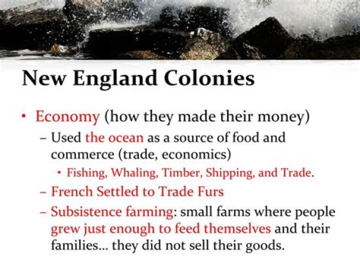 How did the New England colonies make money?