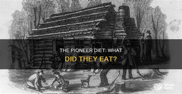 How did the pioneers get food?