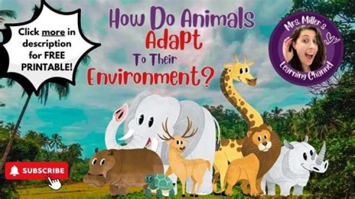 How do animals adapt to kids?