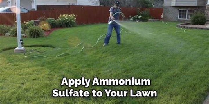 How do I apply ammonium sulfate to my lawn?