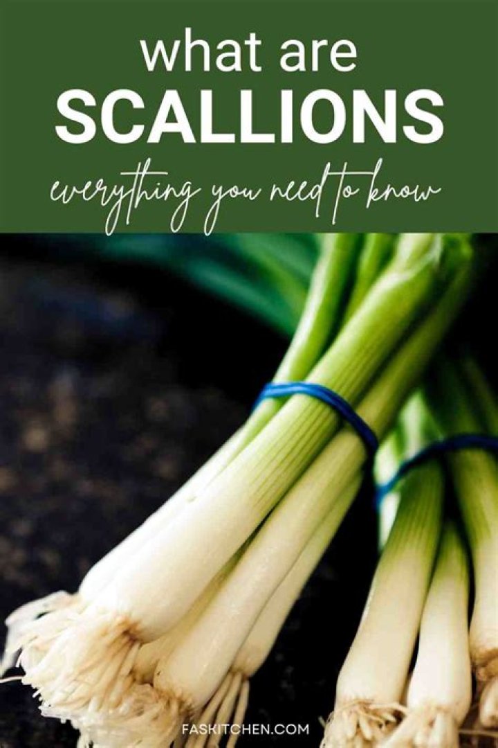 How do I buy scallions?