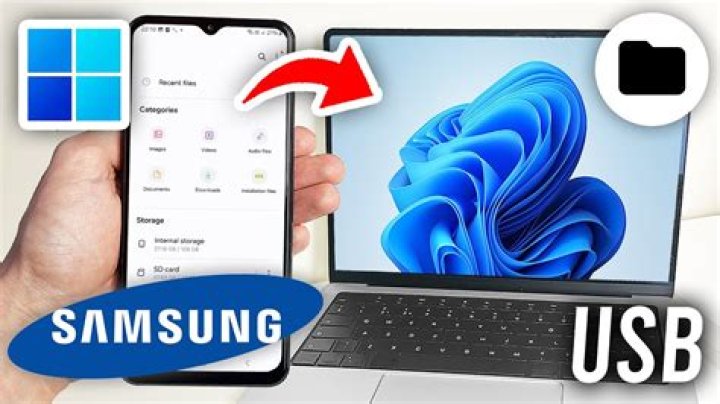 How do I download pictures from a USB to my Chromebook?