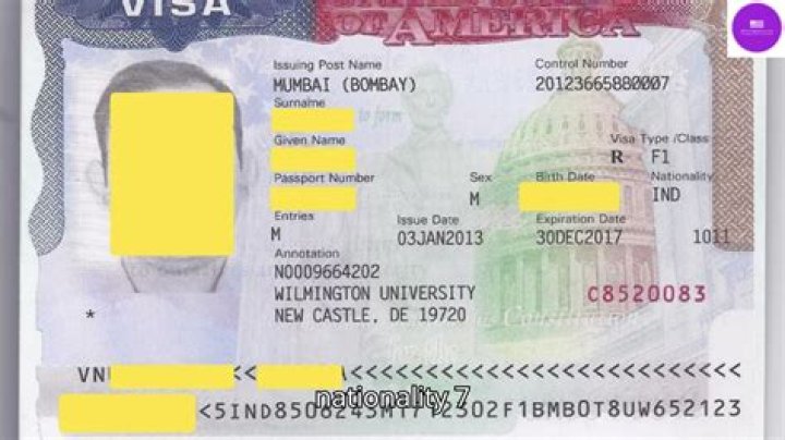 How do I find my non immigrant visa number?