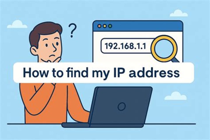 How do I find my WAN IP address?