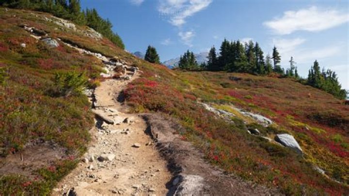 How do I get to Sahale Arm Trail?