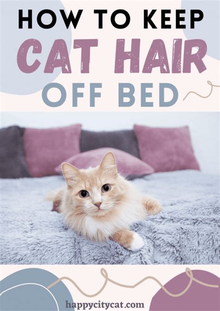 How do I keep cat hair off my bedspread