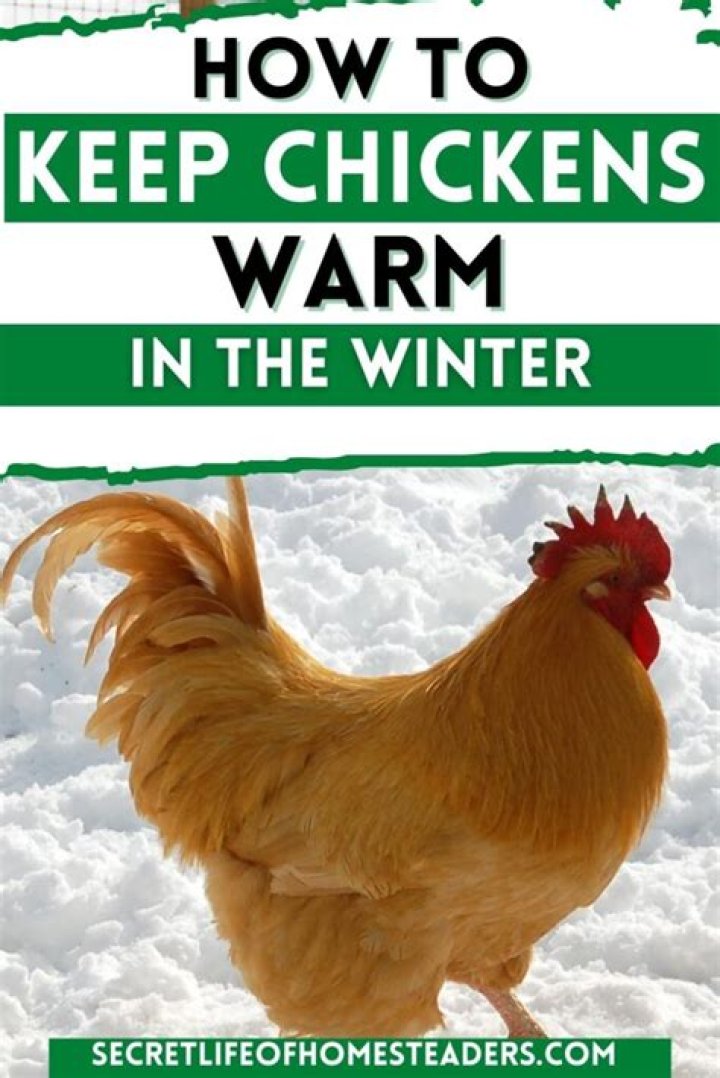How do I keep my deck warm in the winter?