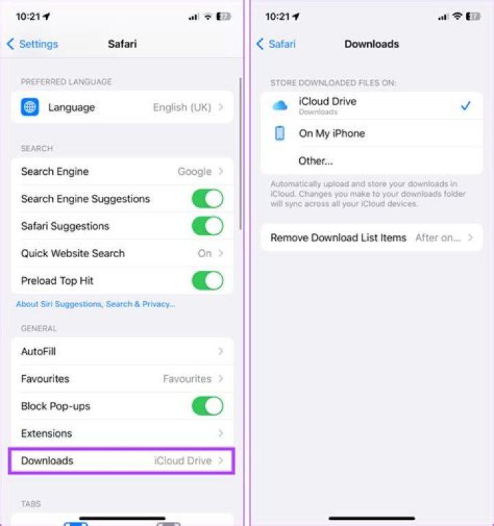 How do I view downloads on my iPad?