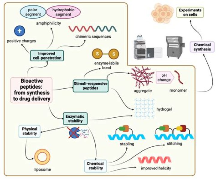 How do metals inhibit enzymes?