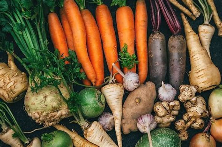 How do roots store food?