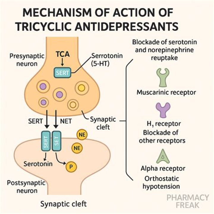 How do tricyclics cause toxicity