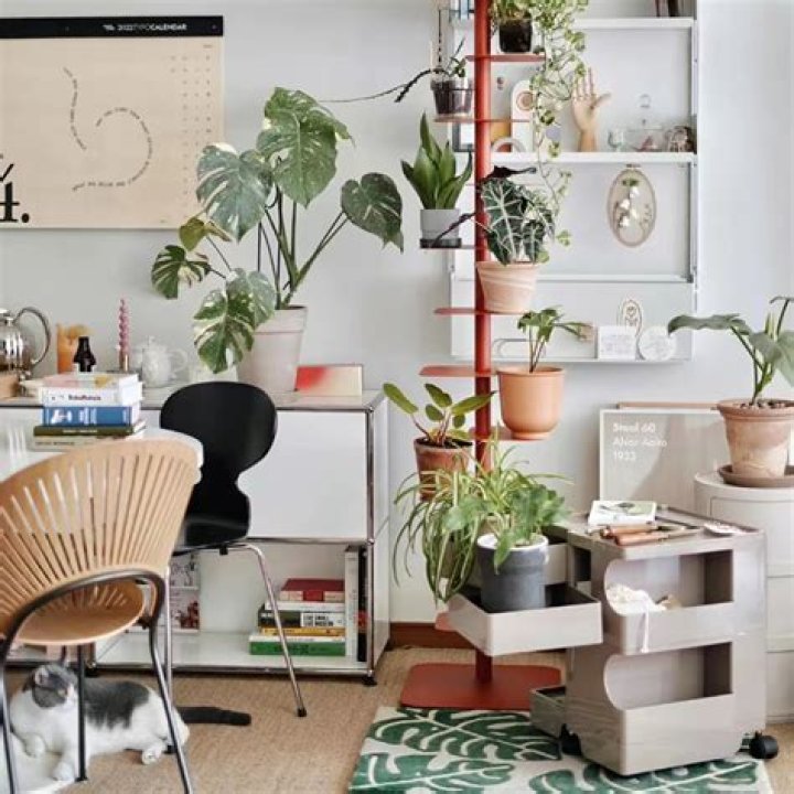 How do vegetable gardens help the environment