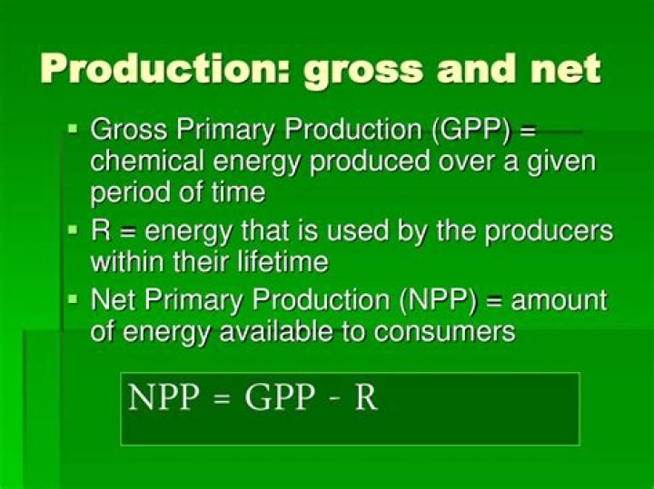 How do you calculate gross primary productivity?