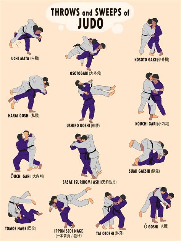 How do you count in judo