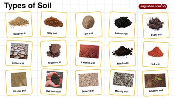 How do you determine OSHA soil type