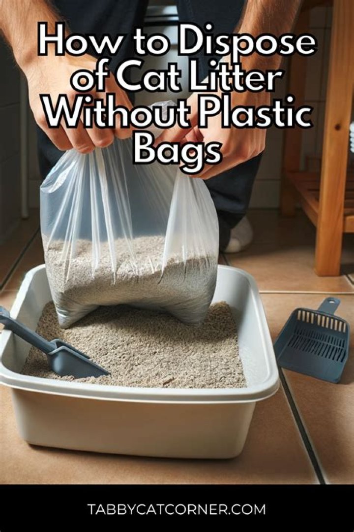 How do you dispose of cat litter with oil