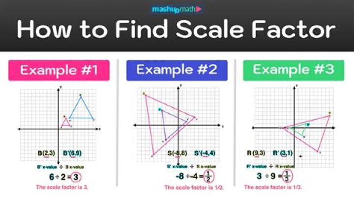 How do you find the scale of a model?