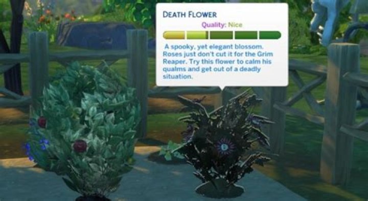 How do you get a death flower in Sims 4?