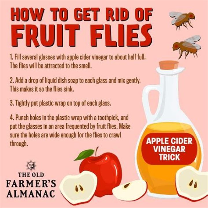 How do you get rid of a large infestation of fruit flies?