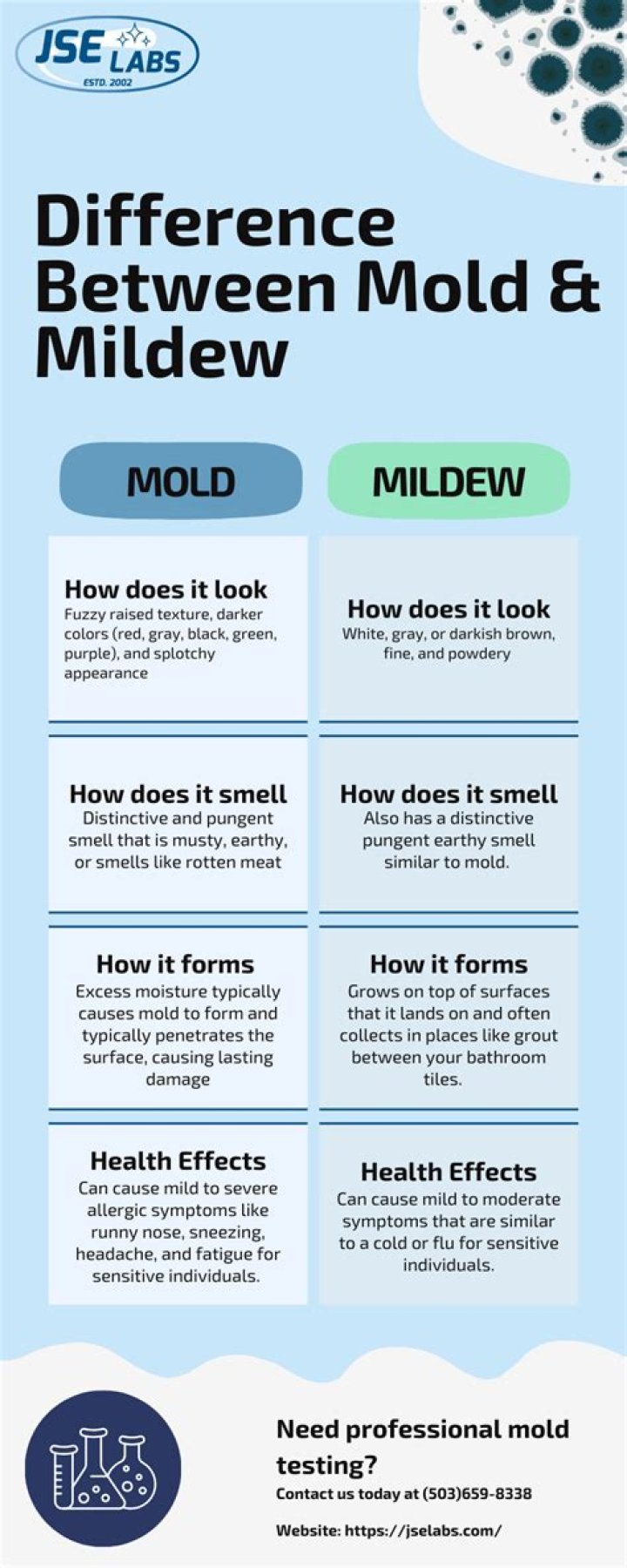 How do you get rid of mold and mildew?