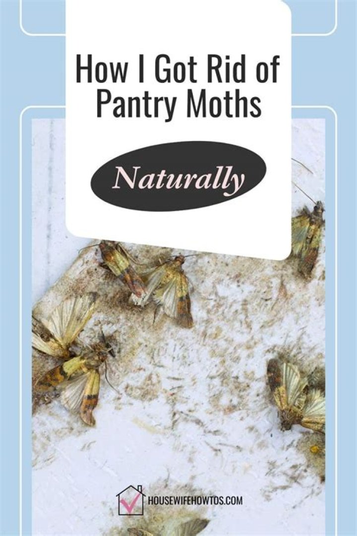How do you get rid of pantry moths naturally