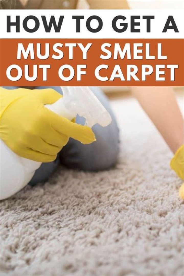 How do you get the mildew smell out of a carpet cleaner?