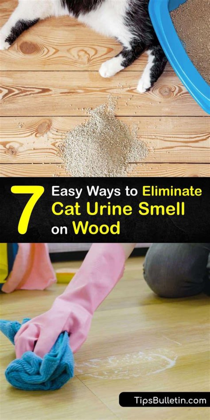 How do you get urine smell out of hard wood floors?
