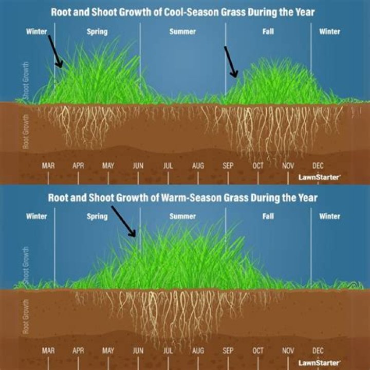 How do you grow grass on new construction
