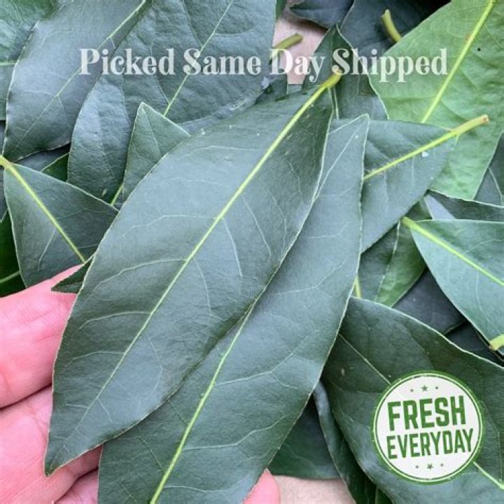 How do you keep bay leaves fresh