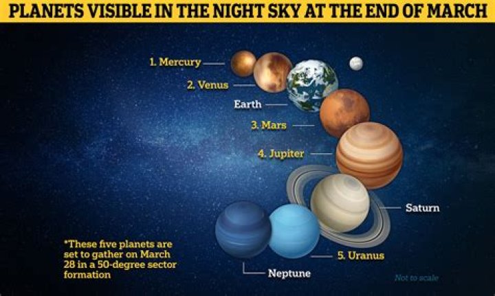 How do you know which graph to use in science?