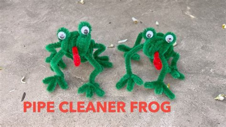 How do you make a pipe cleaner frog?