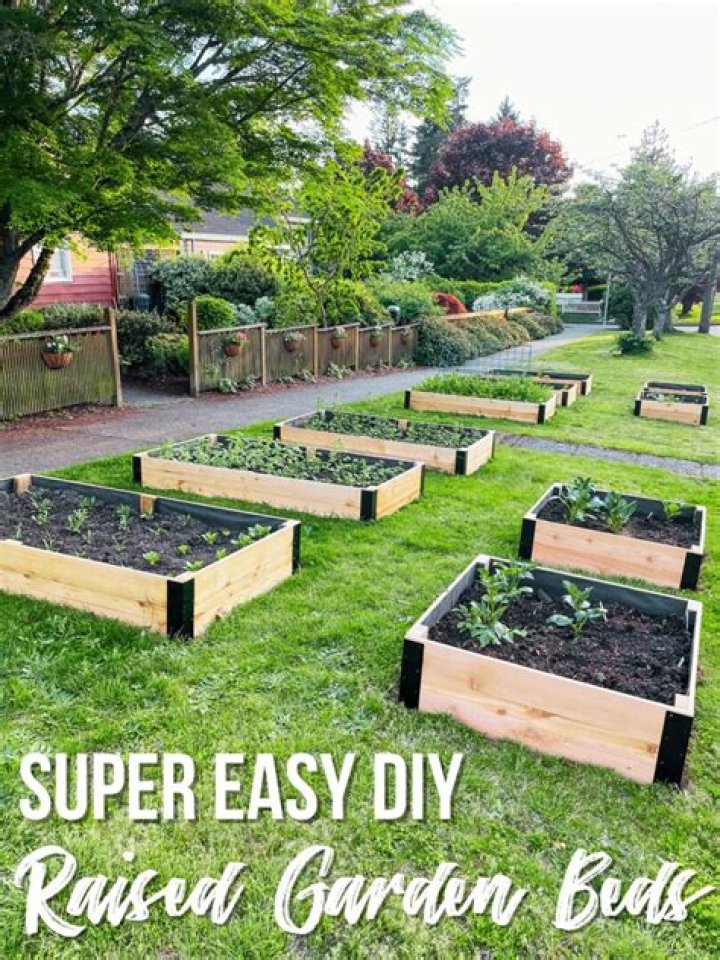 How do you make a raised garden successful