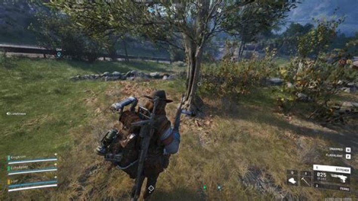 How do you pick olives by hand