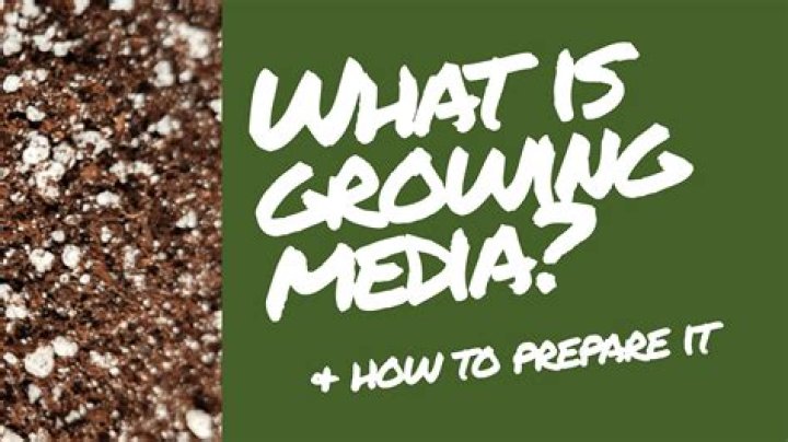 How do you prepare a growing media?