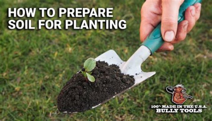 How do you prepare the soil for a nursery?