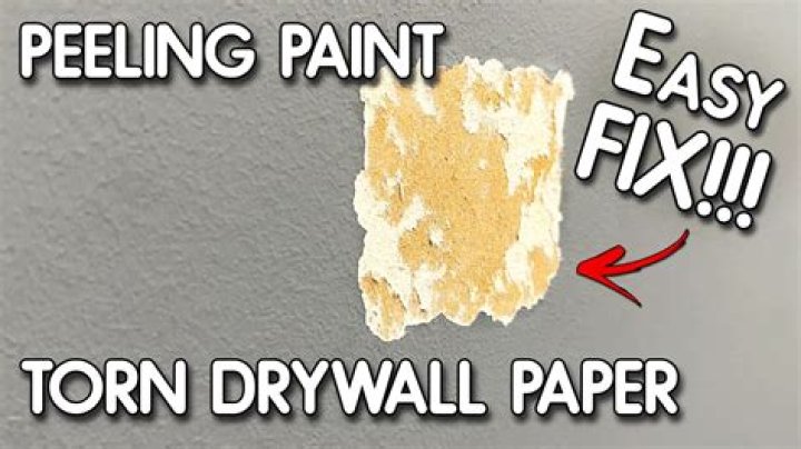 How do you prime fresh drywall
