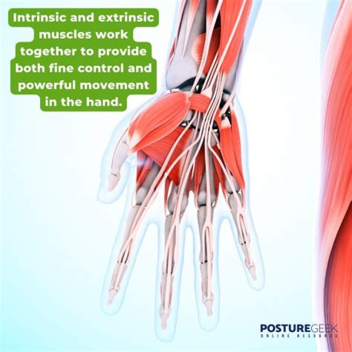 How do you remember the intrinsic muscles of the hand?