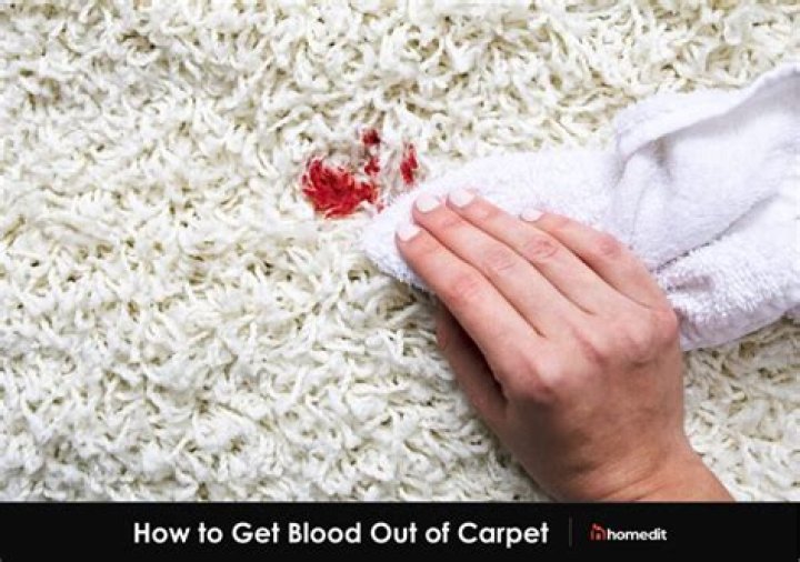 How do you remove dried blood from carpet?
