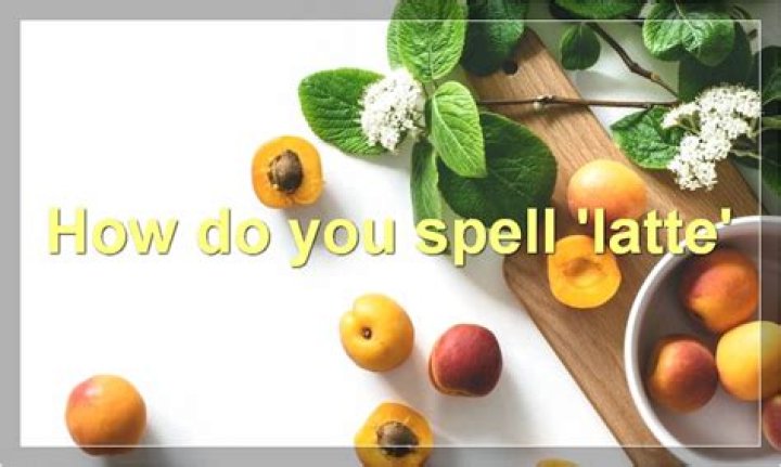 How do you spell speach correctly?