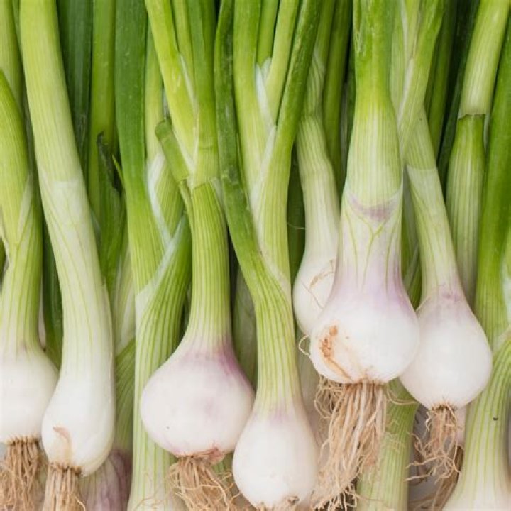 How do you store green onions long term?