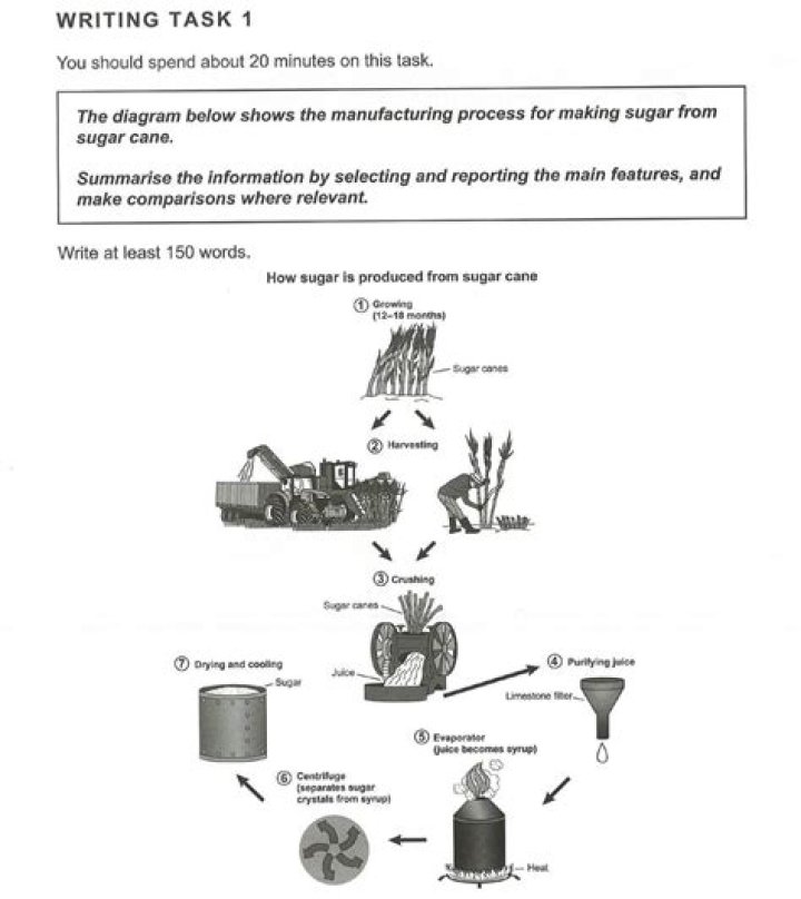 How do you write a task 1 diagram?