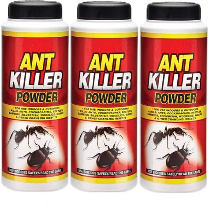 How does ant powder kill ants?