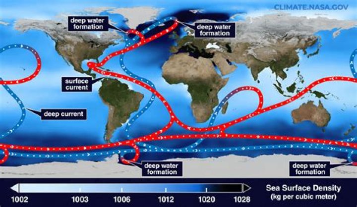 How does cold water affect ocean currents?
